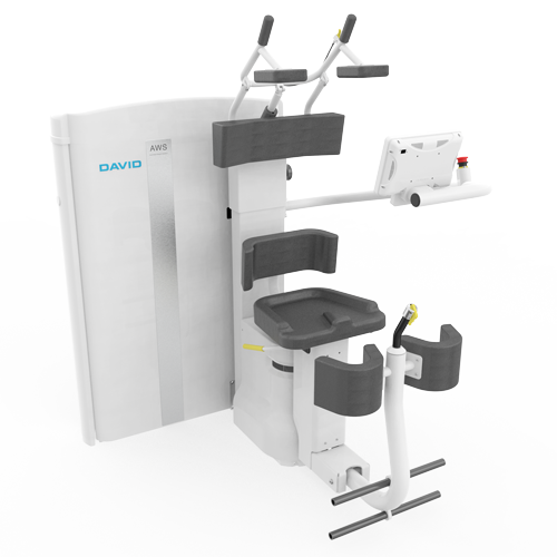 Wirbelsaeule Loesung 2
